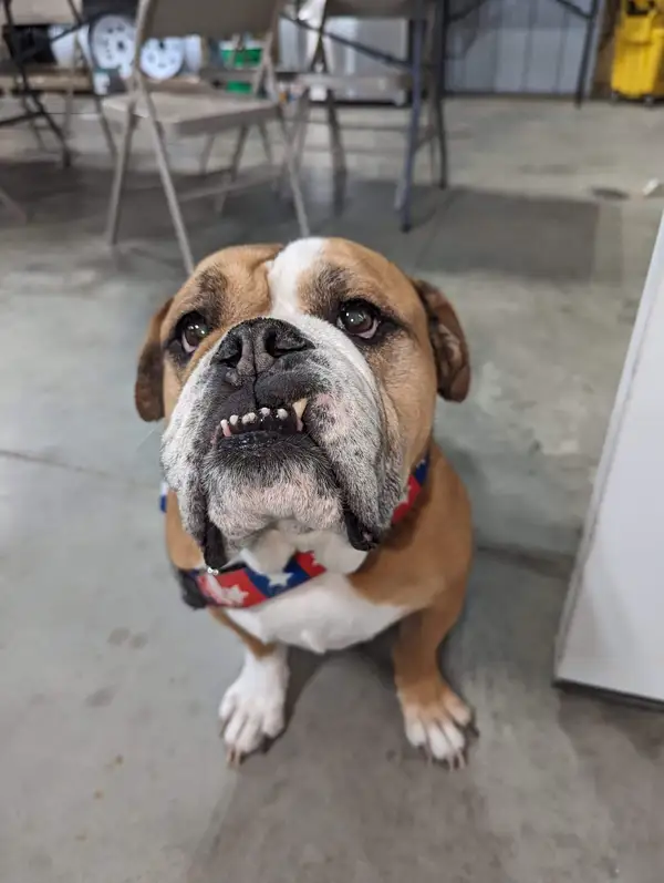 Amy